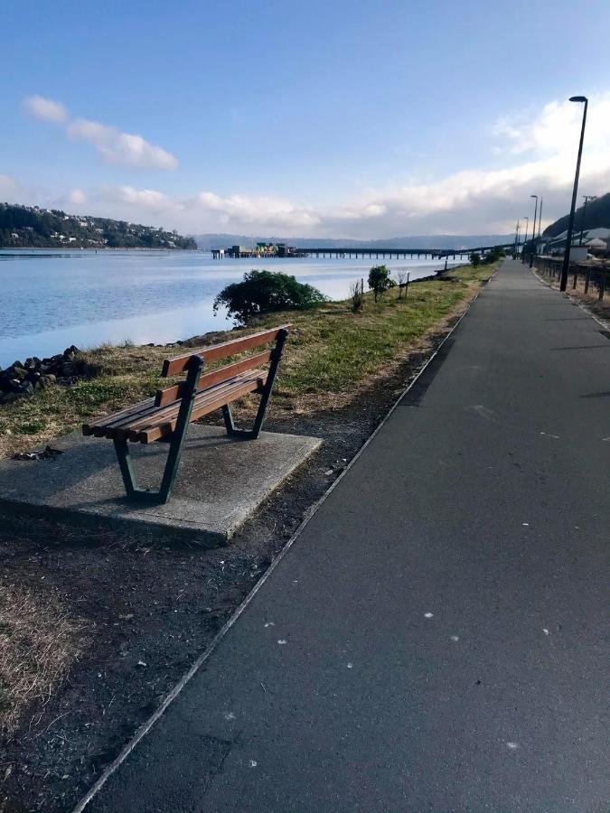 Harbour Side Views Villa Dunedin Exterior foto